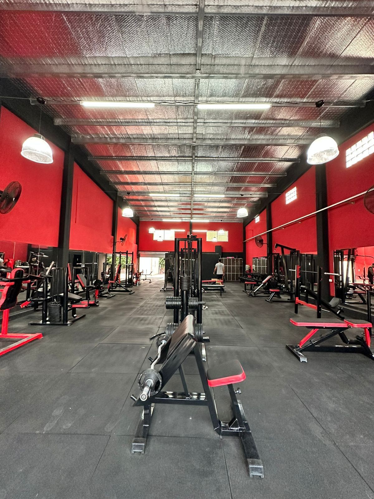 Interior del salón de musculación de ADN Animals Gym