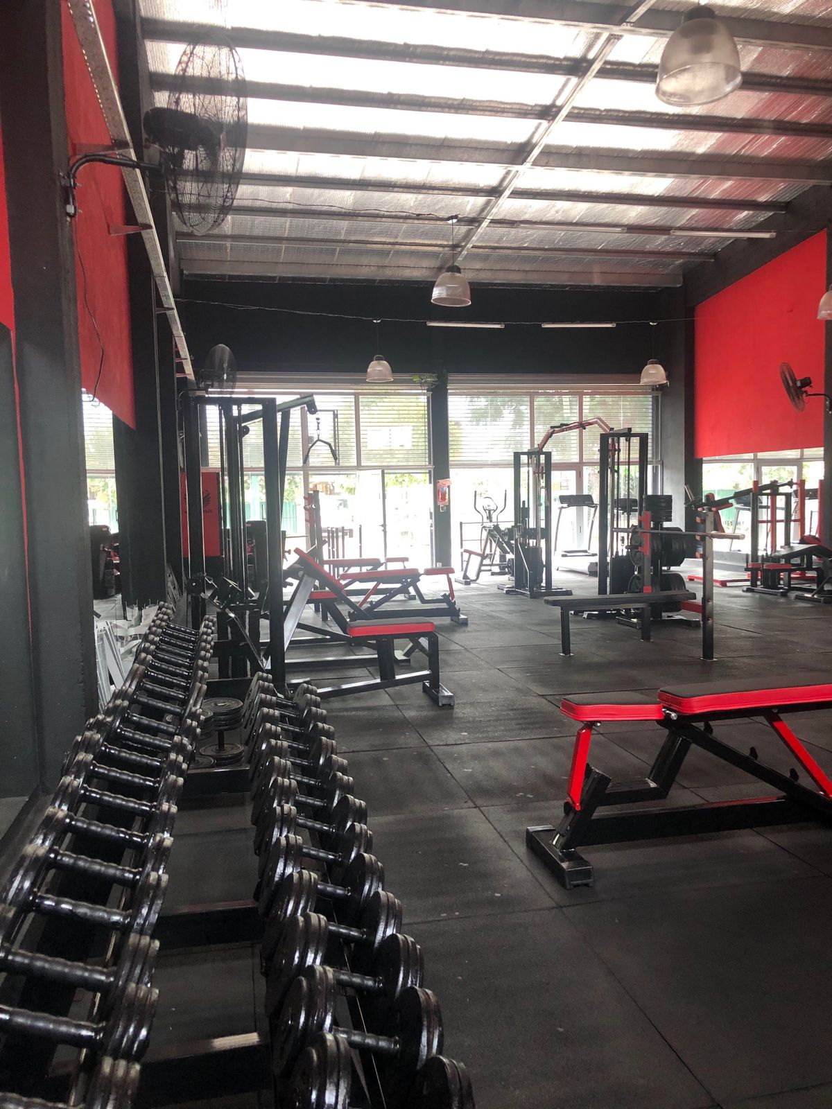 Sector de pesas y cardio de ADN Animals Gym